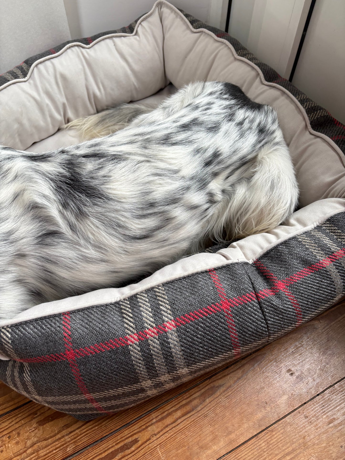 Panier pour chien - Tartan Pion noir