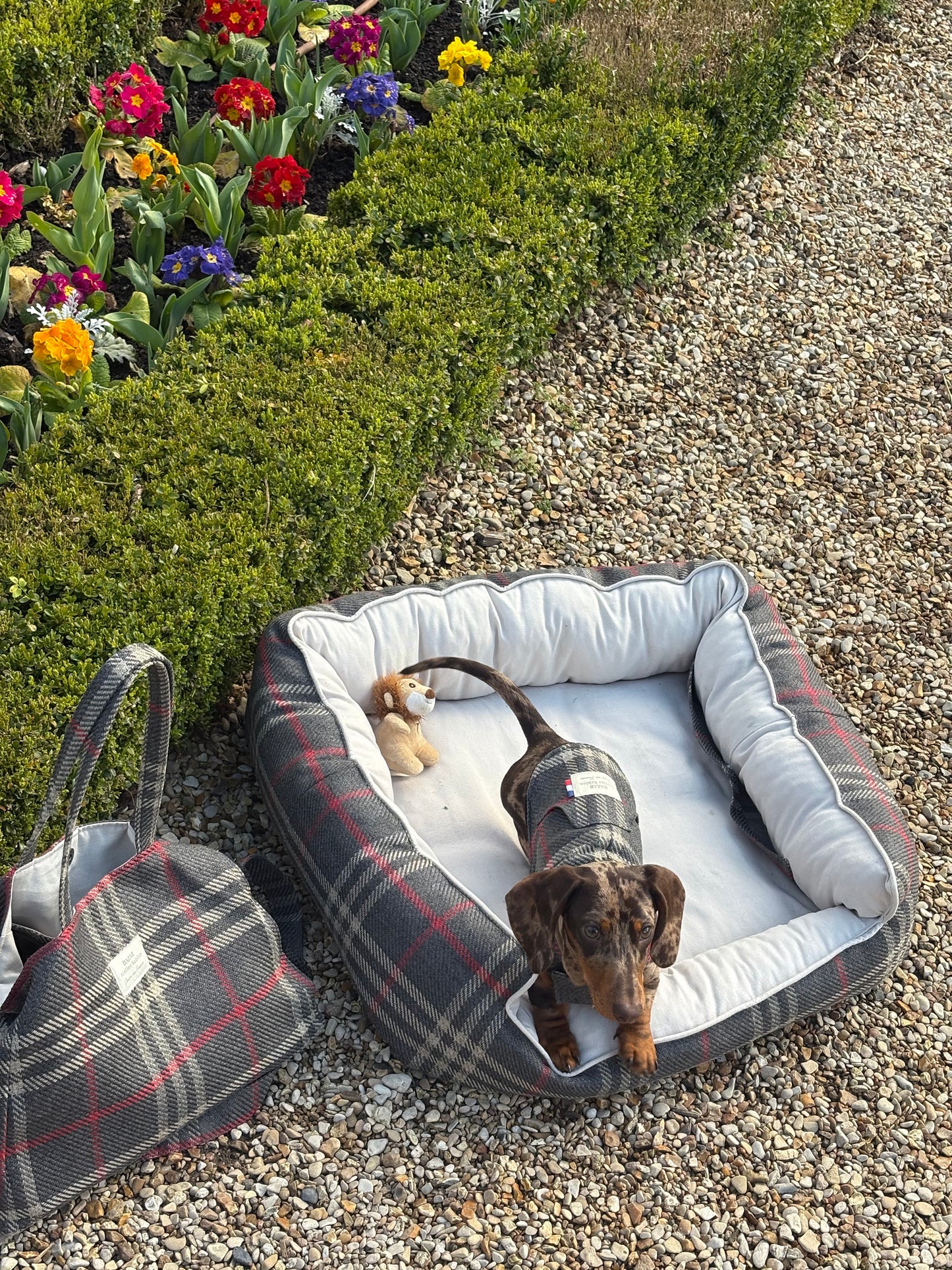 Précommande Veste pour chien - Tartan Pion noir