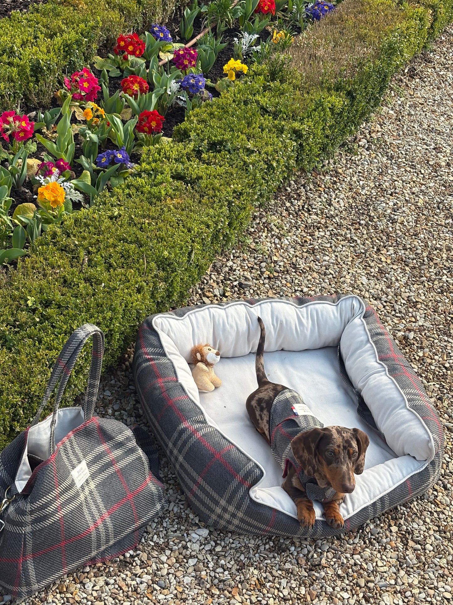 Panier pour chien - Tartan Pion noir
