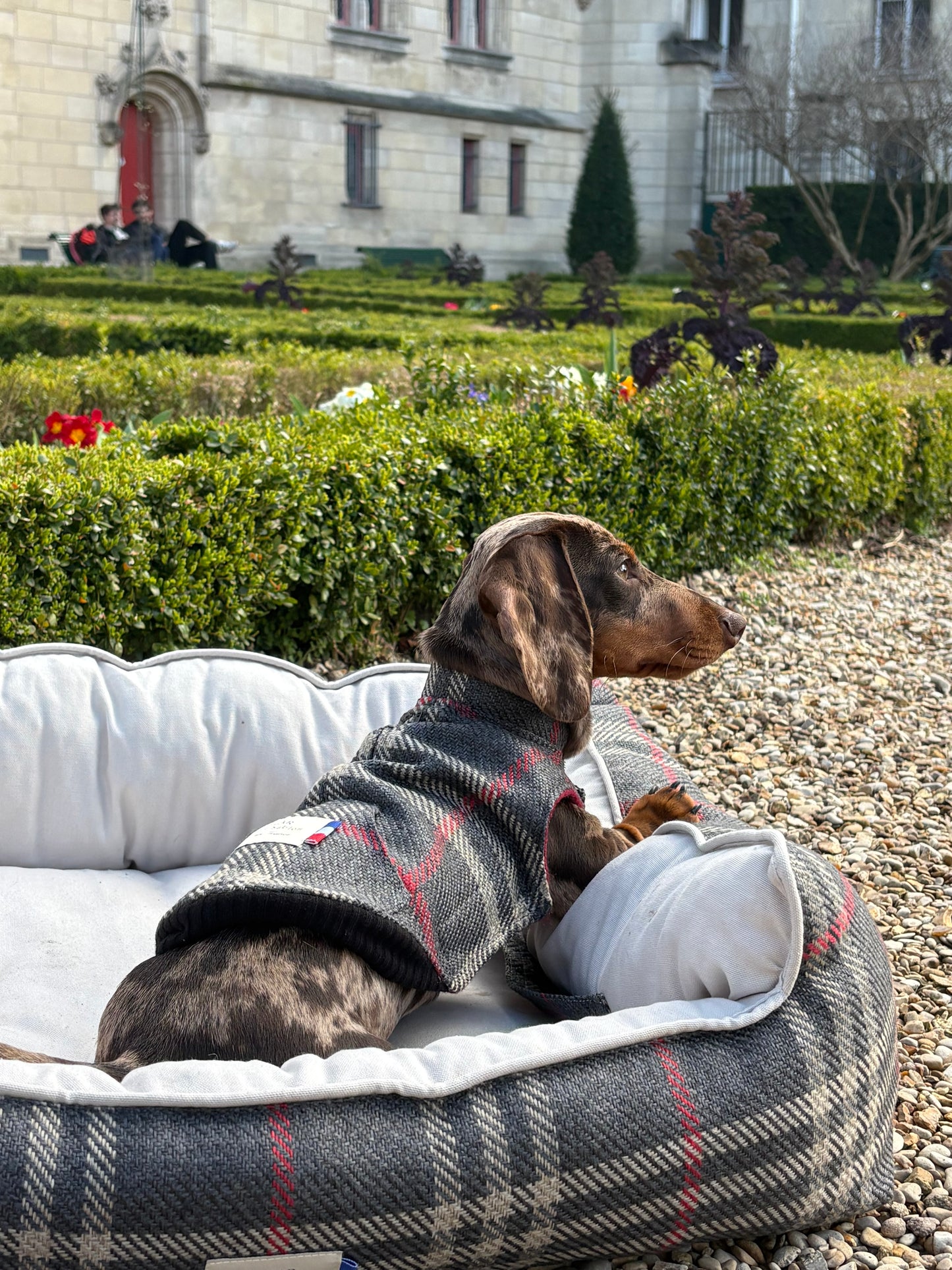 Panier pour chien - Tartan Pion noir