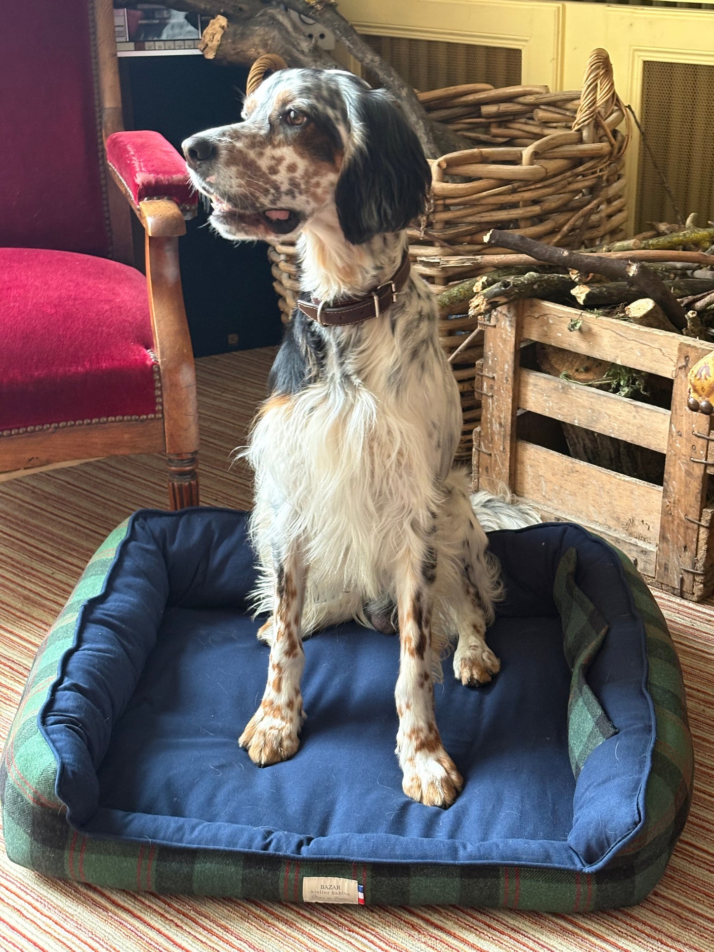 Panier pour chien - Tartan Pion vert