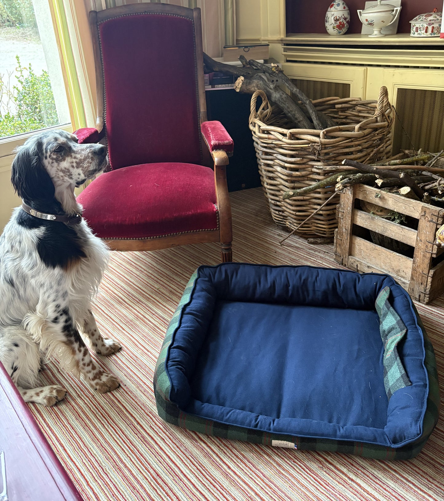 Panier pour chien - Tartan Pion vert