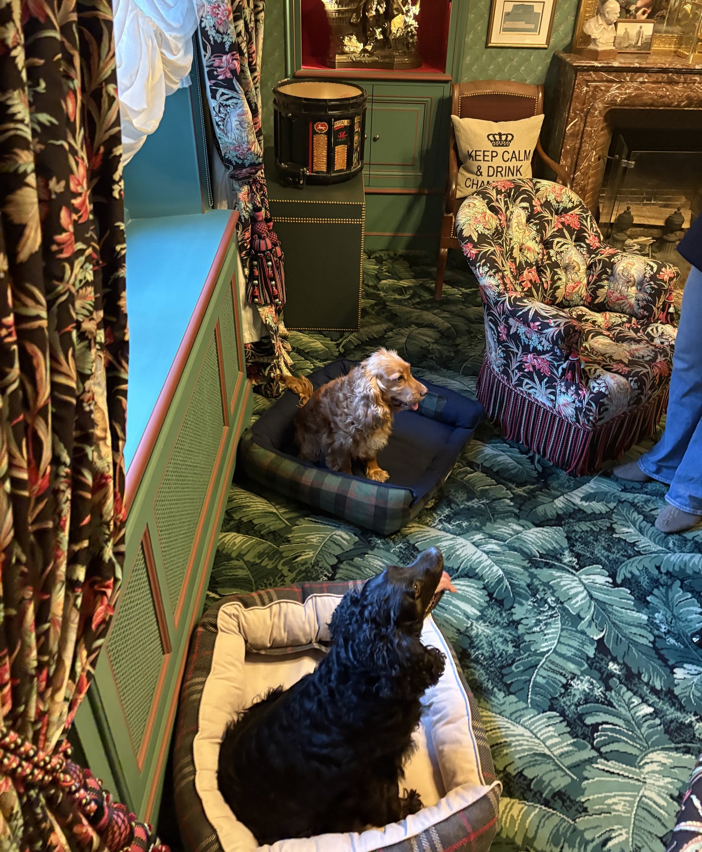 Panier pour chien - Tartan Pion vert