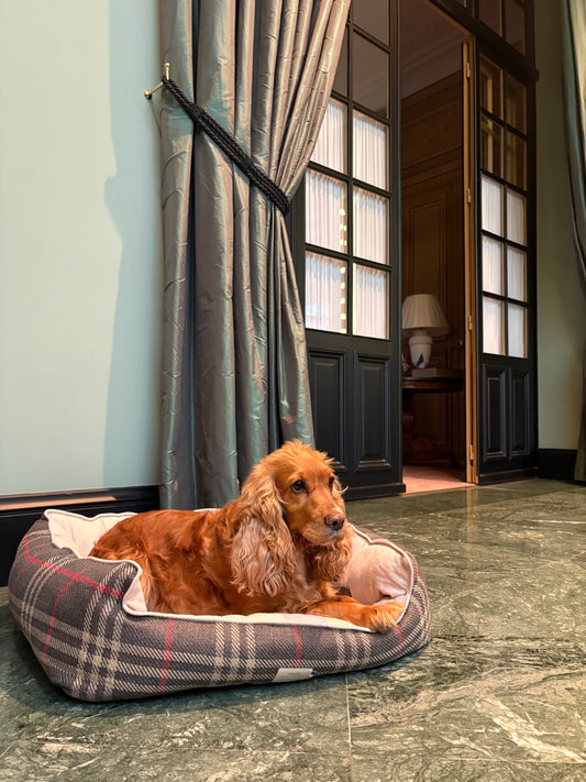 Précommande Panier pour chien - Tartan Pion noir