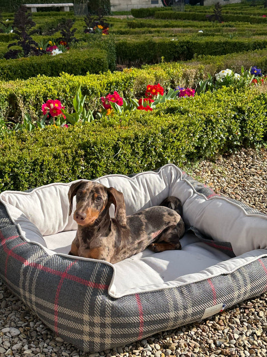 Précommande Panier pour chien - Tartan Pion noir