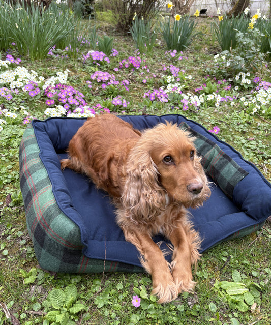 Précommande Panier pour chien - Tartan Pion vert