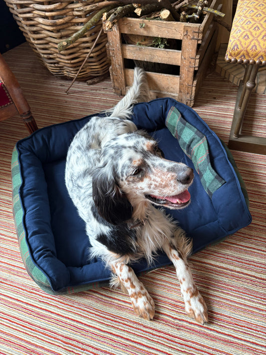 Précommande Panier pour chien - Tartan Pion vert