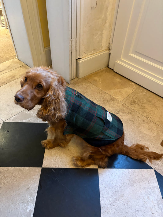 Précommande Veste pour chien - Tartan Pion vert