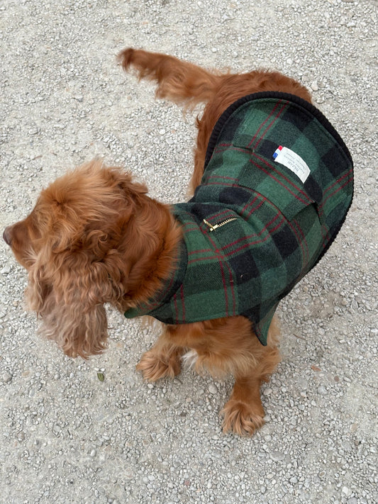 Précommande Veste pour chien - Tartan Pion vert